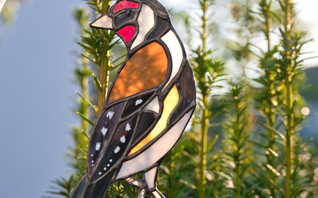 Pierwszy dzień jesieni.