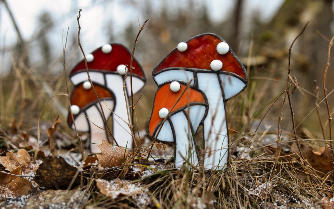 Leśne opowieści. Muchomory.