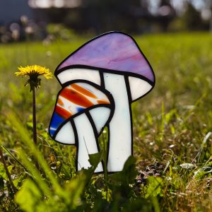 Wrzosowe grzyby - topper.