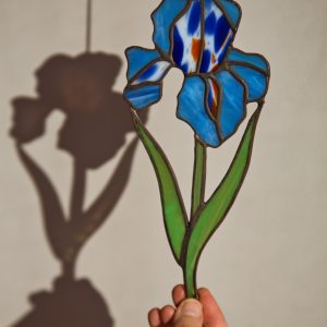 Irys niebieski z nakrapianym środkiem.